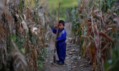 চরম খাদ্য সংকটে উত্তর কোরিয়া