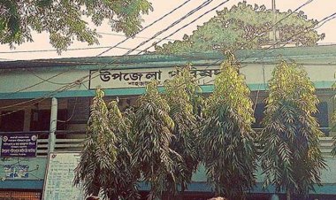 উপজেলা পরিষদের জায়গায় ইউএনওর মার্কেট নির্মাণের অভিযোগ