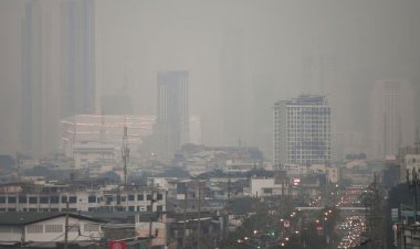 থাইল্যান্ডে বায়ু দূষণ চরমে, হাসপাতালে ভর্তি ২ লাখ মানুষ