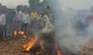 কৃষকরা উৎপাদিত পেঁয়াজ ক্ষেতেই জ্বালিয়ে দিচ্ছেন!