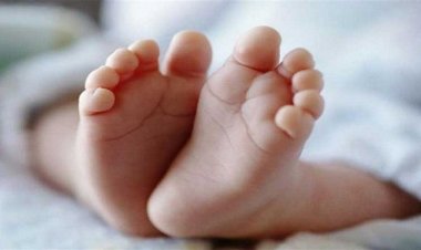 কি‌শোরগ‌ঞ্জে দুই নবজাতক ও এক নারীর মরদেহ উদ্ধার