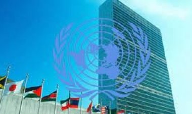 ইউক্রেনে গণহত্যার সন্ধান পাওয়া যায়নি: জাতিসংঘ