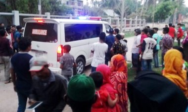 পিরোজপুরে সড়ক দুর্ঘ টনায় নিহত ৬