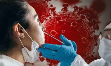 ইসরাইলে নয়া কোভিড ভ্যারিয়েন্ট, নজর বিশ্ব স্বাস্থ্য সংস্থার