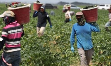 ৮২ হাজার শ্রমিক নেবে ইতালি, আবেদন শুরু চলতি মাসেই