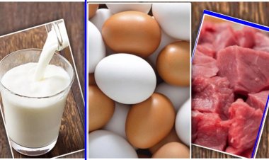 রোজায় এবার বেশি দামে দুধ-ডিম-মাংস বেচবে প্রাণিসম্পদ অধিদপ্তর