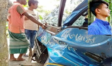 নেত্রকোনায় গাছের সঙ্গে পিকআপের ধাক্কা, চালক নিহত