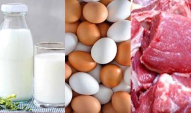 সুলভমূল্যে দুধ-ডিম-মাংস বিক্রি: দাম শুনে ফিরে যাচ্ছেন অনেকে