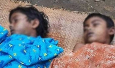 নদীতে গোসল করতে নেমে প্রাণ গেল দুই ভাইয়ের 