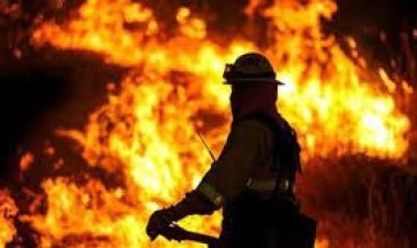 বাড্ডায় মিষ্টির দোকানে আগুন