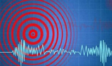 জাপানে শক্তিশালী ভূমিকম্প