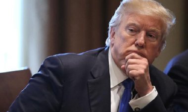 ২৪ ঘণ্টায় রাশিয়া-ইউক্রেন যুদ্ধ থামানোর প্রতিশ্রুতি ট্রাম্পের