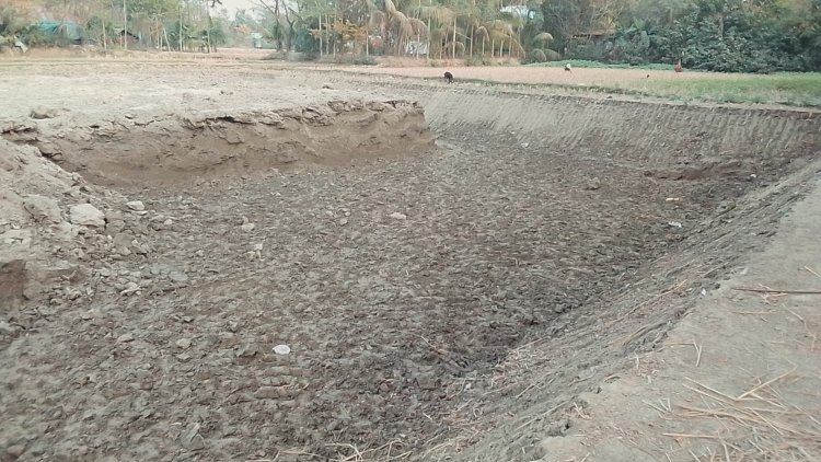 নোয়াখালীতে প্রশাসনের নাম ভাঙিয়ে ফসলিজমির মাটি বিক্রির উৎসব