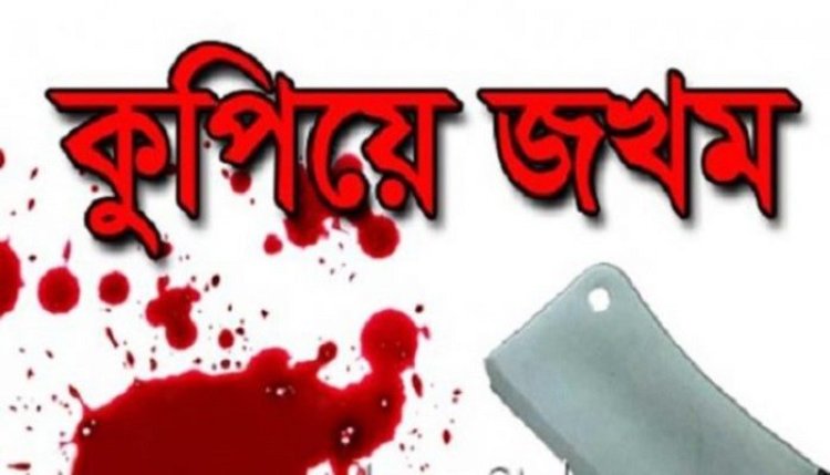 রূপগঞ্জে ইউপি সদস্যসহ ৫ জনকে কুপিয়ে জখম