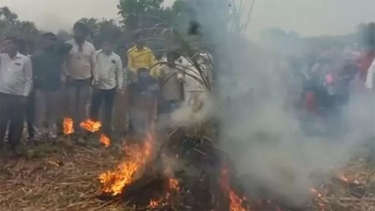 কৃষকরা উৎপাদিত পেঁয়াজ ক্ষেতেই জ্বালিয়ে দিচ্ছেন!