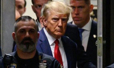 নিজেকে অপরাধী মনে করেন না ডনাল্ড ট্রাম্প