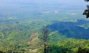 বান্দরবানে দুই পক্ষের গোলাগুলিতে নিহত ৮