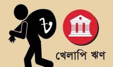 আইনের দুর্বল প্রয়োগে বেড়েছে খেলাপি ঋণ