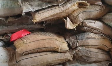 প্রধানমন্ত্রীর উপহারের ত্রাণ বিতরণ না করে নষ্ট করলেন ইউএনও