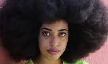 আফ্রো চুলে আবার গিনেস রেকর্ড মার্কিন নারীর