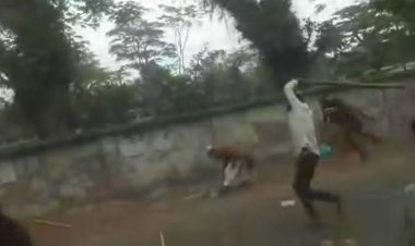 উপজেলা চেয়ারম্যানকে পেটালো সন্ত্রসীরা, ভিডিও ভাইরাল