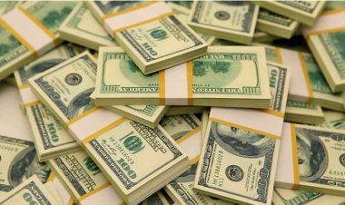 ২০ হাজার ডলার ফেলে পালাল পাচারকারী