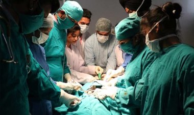 ১৪ দিনের শিশু অন্তঃসত্ত্বা!