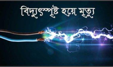 ডেমরায় বিদ্যুৎস্পৃষ্টে দুই ভাইয়ের মৃত্যু