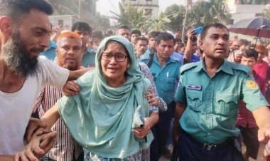 ডেমরায় আম পাড়তে গিয়ে দুই ভাইয়ের মৃত্যু: বাড়ির মালিক ও ৩ মেয়েসহ আটক ৪