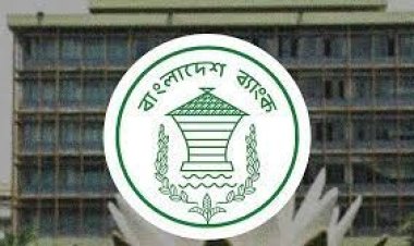 ঋণ বাড়ার সাথে আর্থিক চাপেও পড়বে বাংলাদেশ