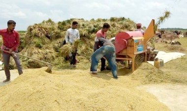 বোরো ধান-চাল সংগ্রহে  সরকার দাম নির্ধারণ করল