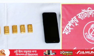 পাচারকারীর প্যান্টের পকেটে মিলল ৪৮ লাখ টাকার স্বর্ণ