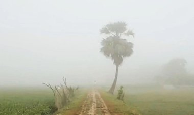 গরমের মধ্যে ভোরে প্রচণ্ড কুয়াশা!