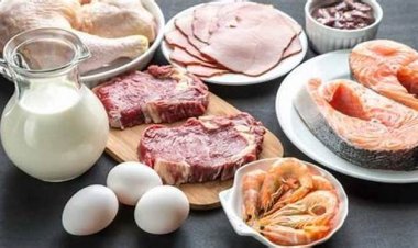 ২৯ দিনে ৫ কোটি টাকার মাংস-দুধ-ডিম বিক্রি