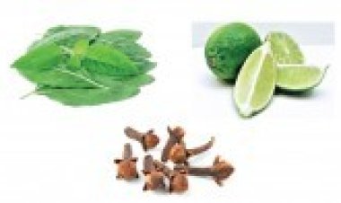 মশার কামড় থেকে বাঁচতে ব্যবহার করুণ লবঙ্গ