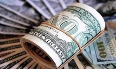 এলসি ৩৭% কমলেও সংকট মেটেনি