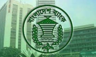 এনবিএফআই পর্ষদে এক কোম্পানির দুই ব্যক্তি থাকতে পারবেন না