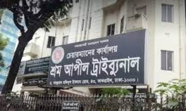 শ্রম আপিল ট্রাইব্যুনালের চেয়ারম্যানের নিয়োগ বাতিল