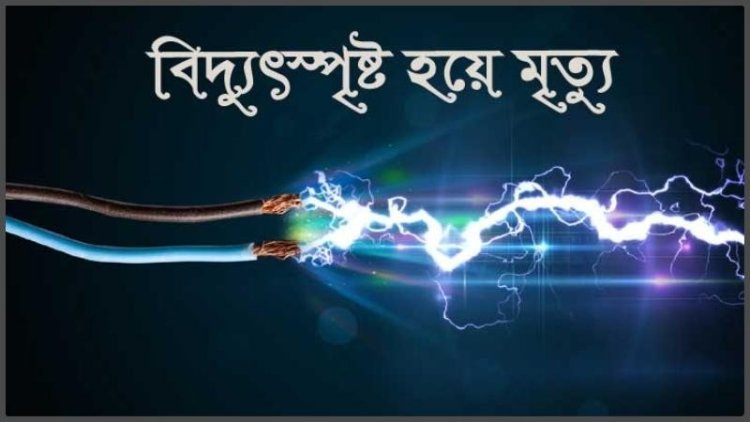 ডেমরায় বিদ্যুৎস্পৃষ্টে দুই ভাইয়ের মৃত্যু