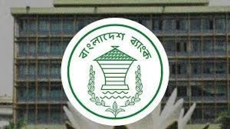 ঋণ বাড়ার সাথে আর্থিক চাপেও পড়বে বাংলাদেশ