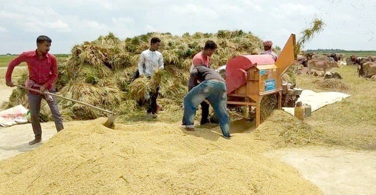 বোরো ধান-চাল সংগ্রহে সরকার দাম নির্ধারণ করল