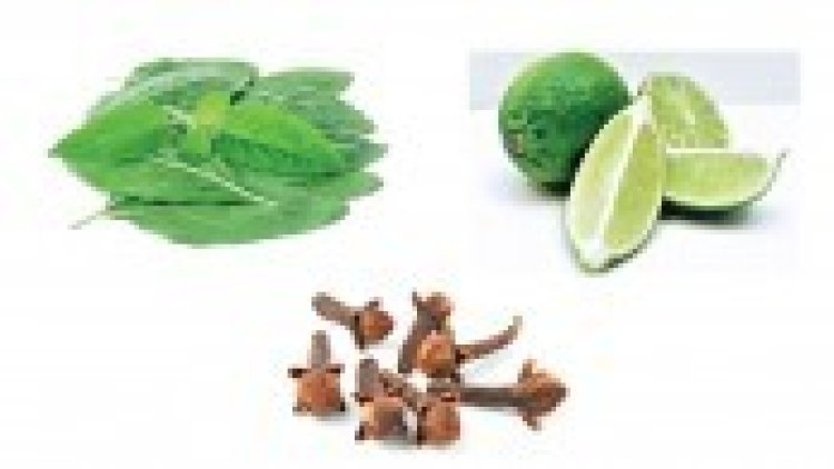 মশার কামড় থেকে বাঁচতে ব্যবহার করুণ লবঙ্গ