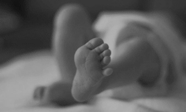 রেললাইনের পাশে পাওয়া গেলো নবজাতকের মরদেহ