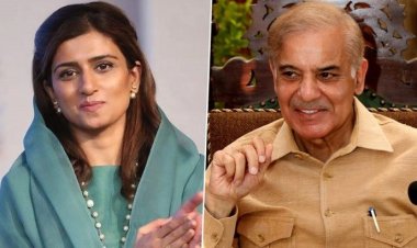 শাহবাজ-হিনার রেকর্ড ফাঁস