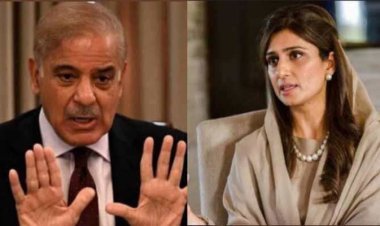 শাহবাজ-হিনার রেকর্ড ফাঁস, কী আছে তাতে?