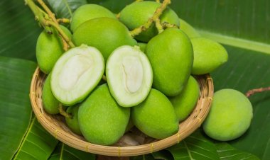 কাঁচা আম খাওয়ার উপকারিতা