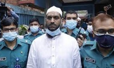 ৫ মামলায় মামুনুল হকের জামিন