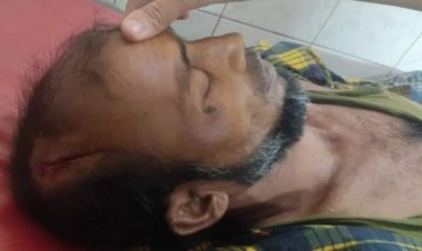  ভাতিজার লাঠির আঘাতে চাচার মৃত্যু