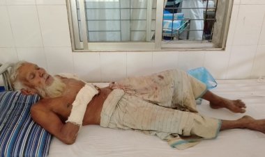 ভোলায় জমি নিয়ে ৪ জনকে কুপিয়ে জখম