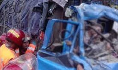 ধান মাড়াইয়ের সময় বিদ্যুৎস্পৃষ্ট হয়ে প্রাণ গেলো কৃষকের